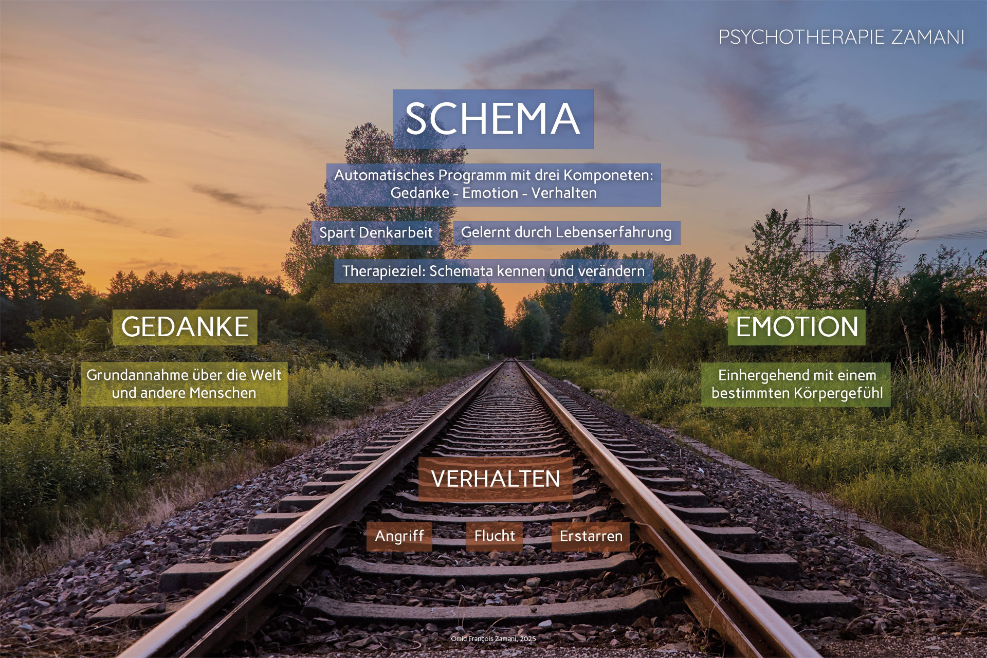 Schema-Psychotherapie-Zamani Schema-Psychotherapie-Zamani