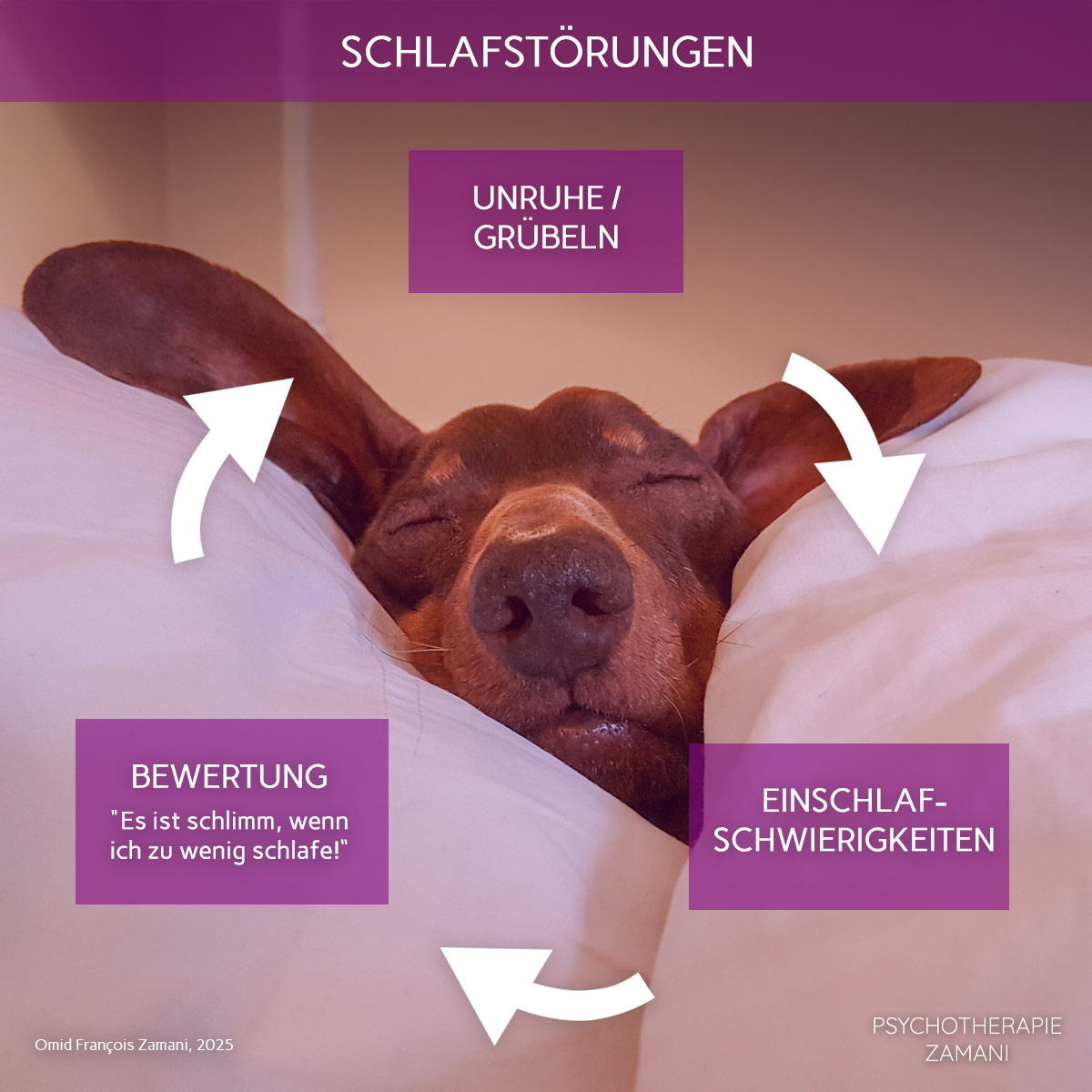 Schlafstörungen-Teufelskreis-Psychotherapie-Zamani Schlafstörungen-Teufelskreis-Psychotherapie-Zamani