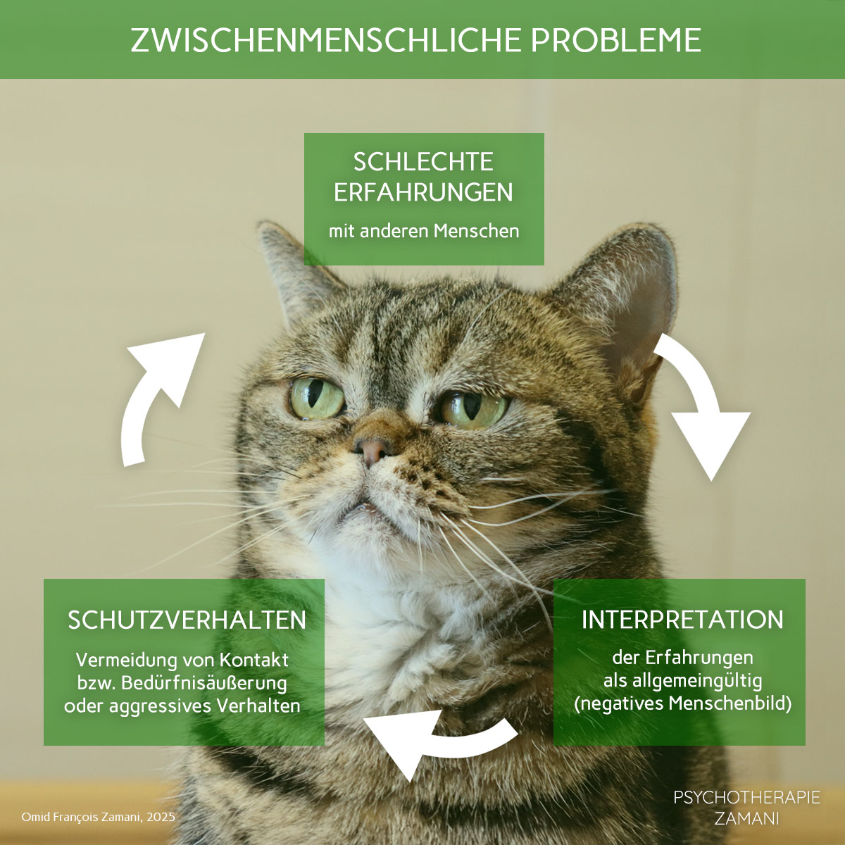 Zwischenmenschliche-Probleme-Teufelskreis-Psychotherapie-Zamani Zwischenmenschliche-Probleme-Teufelskreis-Psychotherapie-Zamani